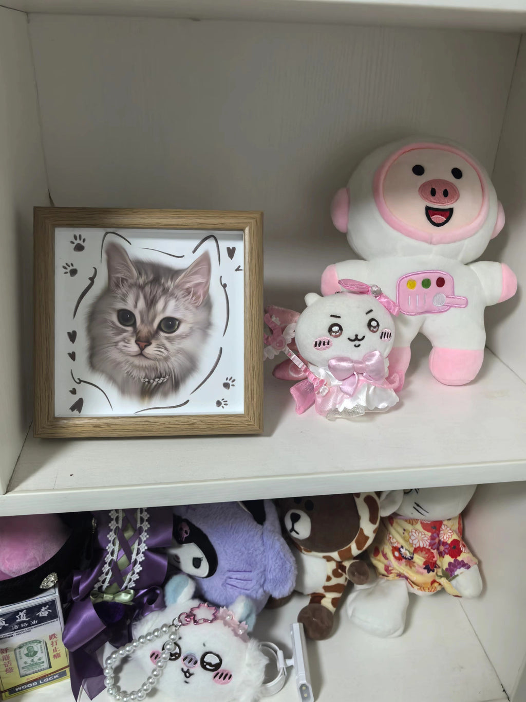 A Custom Hand-Drawn Pet Portrait Frame