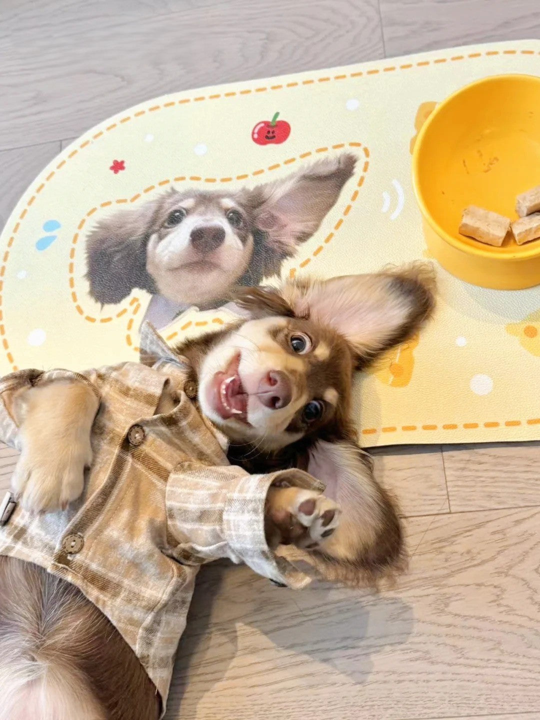 Custom Hand-Draw Pet Portrait Food Mat