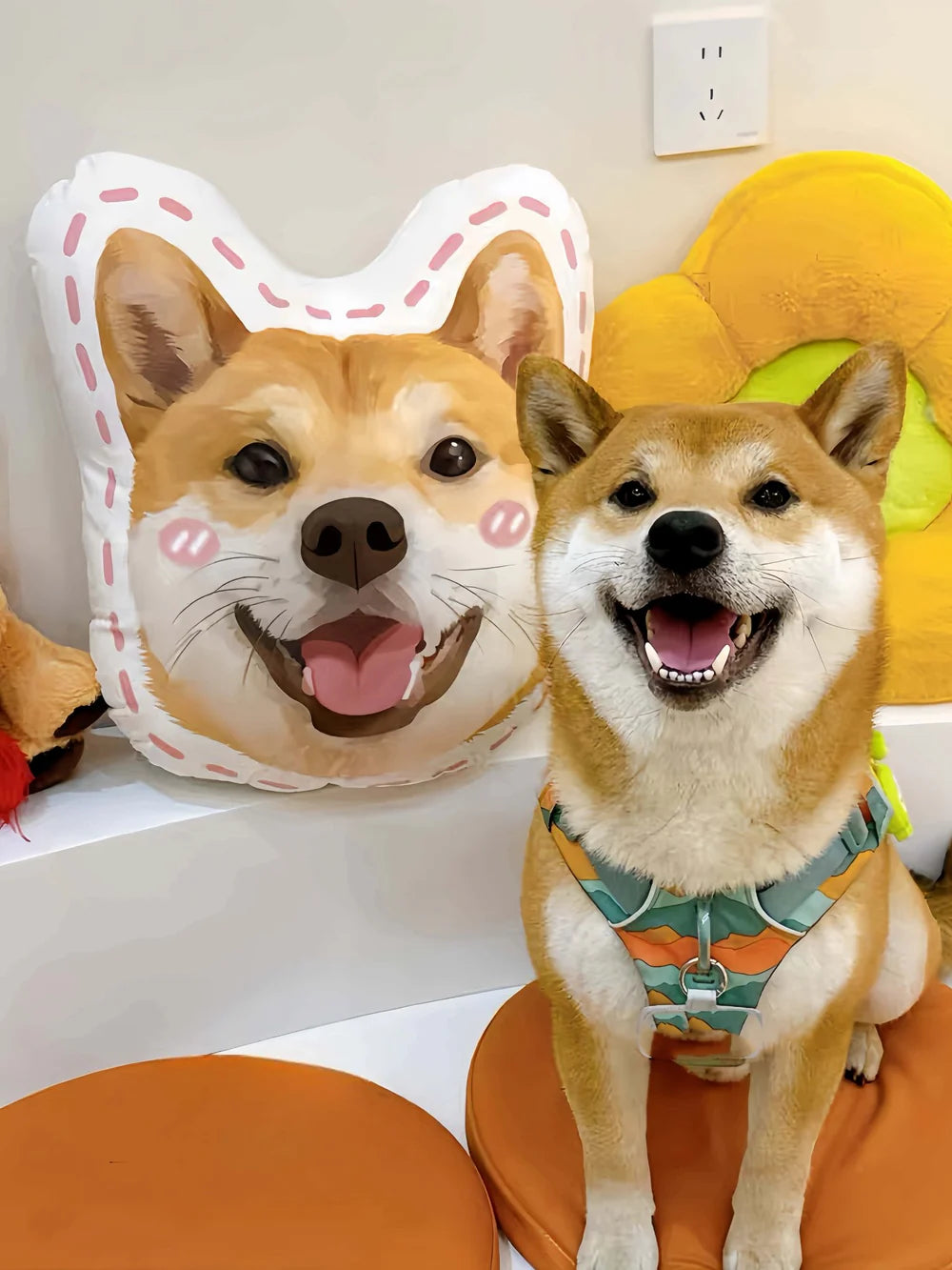 Custom Hand-Draw Pet Portrait Pillow