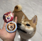 2 PCS Custom Hand-draw Pet Portrait Magnetic Fridge Magnets