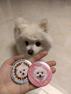 2 PCS Custom Hand-draw Pet Portrait Magnetic Fridge Magnets