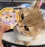 2 PCS Custom Hand-draw Pet Portrait Magnetic Fridge Magnets