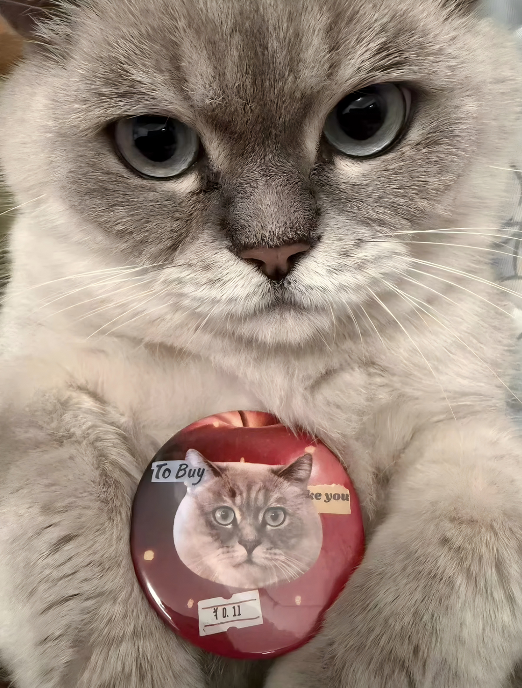 2 PCS Custom Hand-draw Pet Portrait Magnetic Fridge Magnets