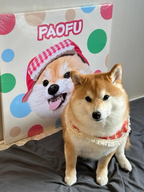 Custom Hand-Draw Pet Portrait Oil Painting