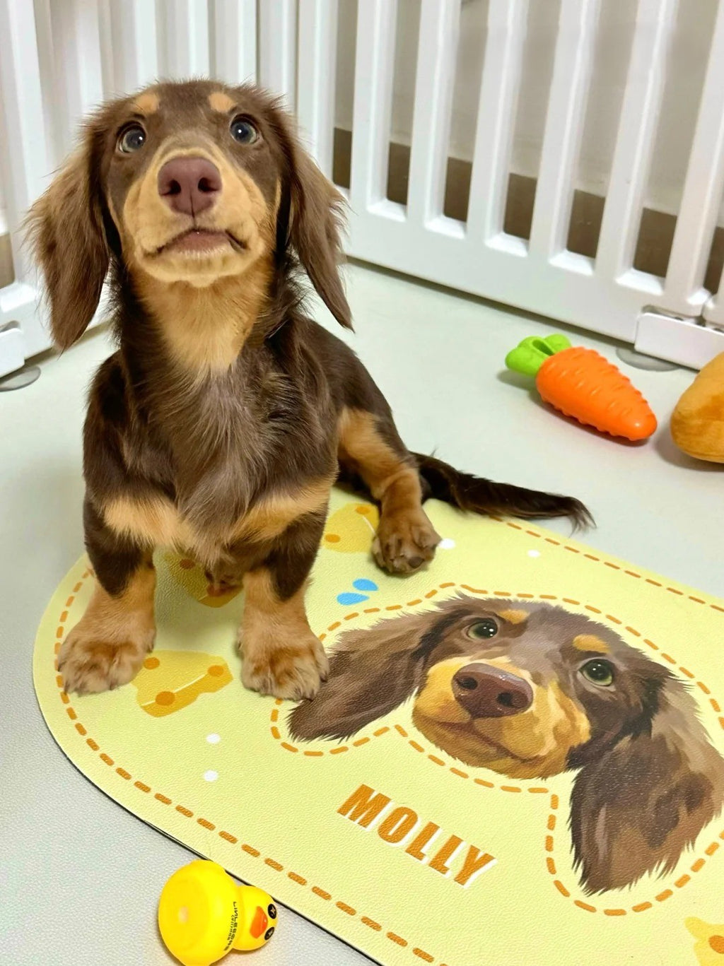 Custom Hand-Draw Pet Portrait Food Mat