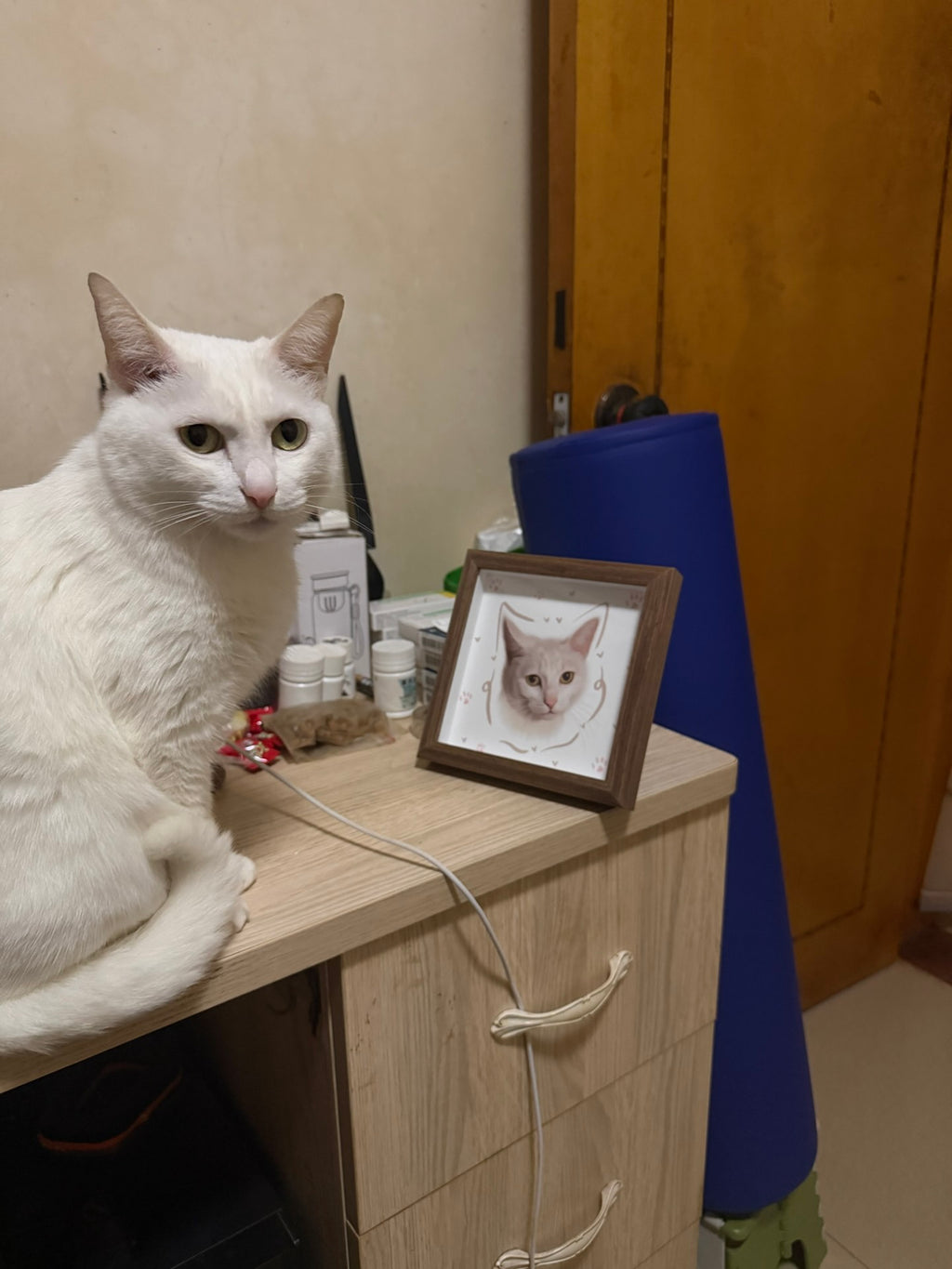 A Custom Hand-Drawn Pet Portrait Frame