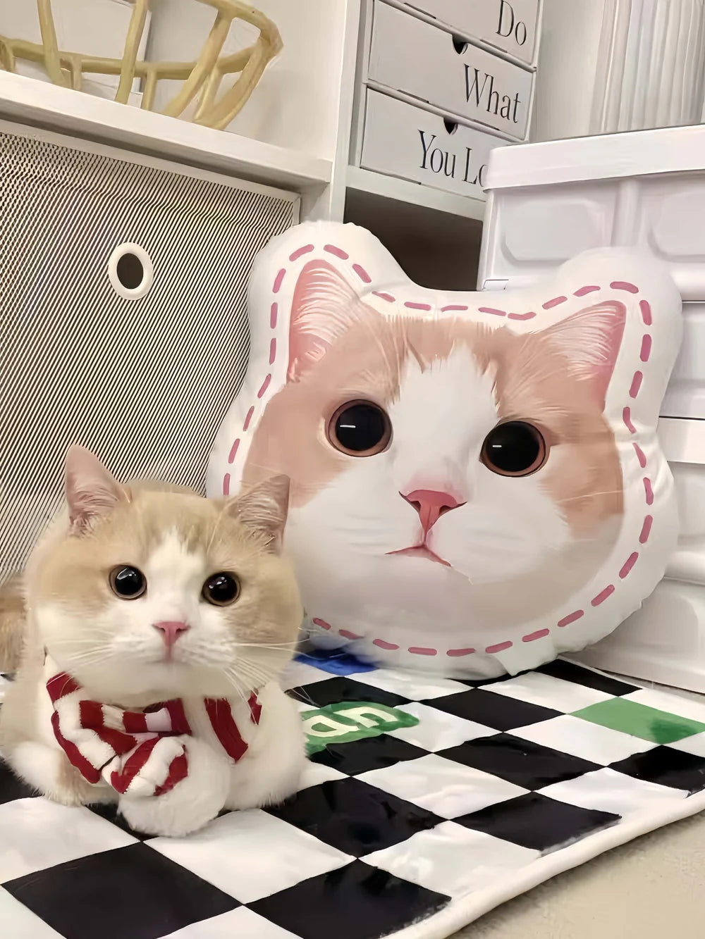 Custom Hand-Draw Pet Portrait Pillow