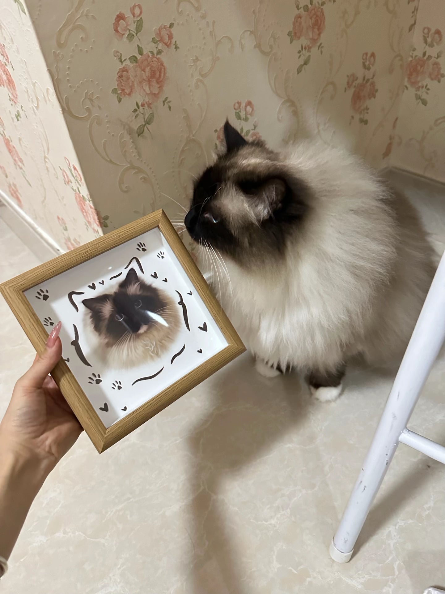 A Custom Hand-Drawn Pet Portrait Frame