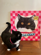 Custom Hand-Draw Pet Portrait Oil Painting