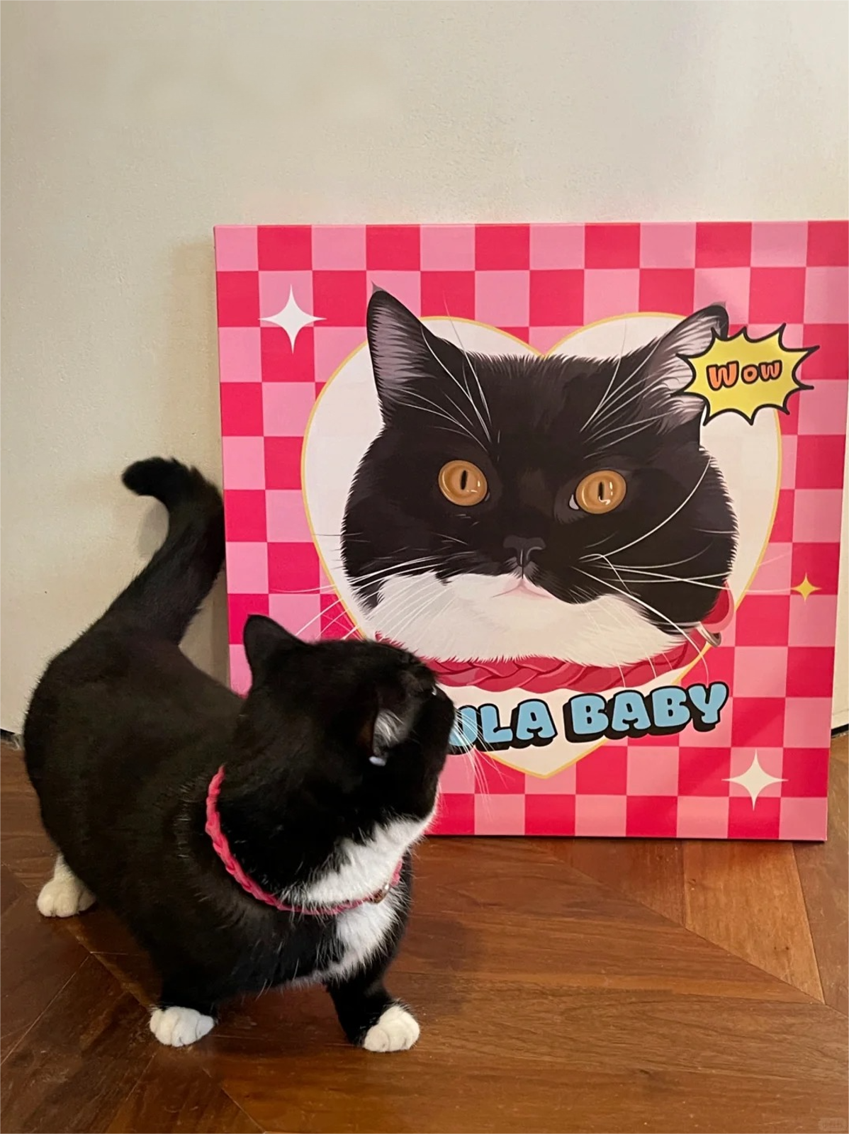 Custom Hand-Draw Pet Portrait Oil Painting