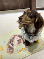 Custom Hand-Draw Pet Portrait Food Mat