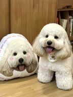 Custom Hand-Draw Pet Portrait Pillow