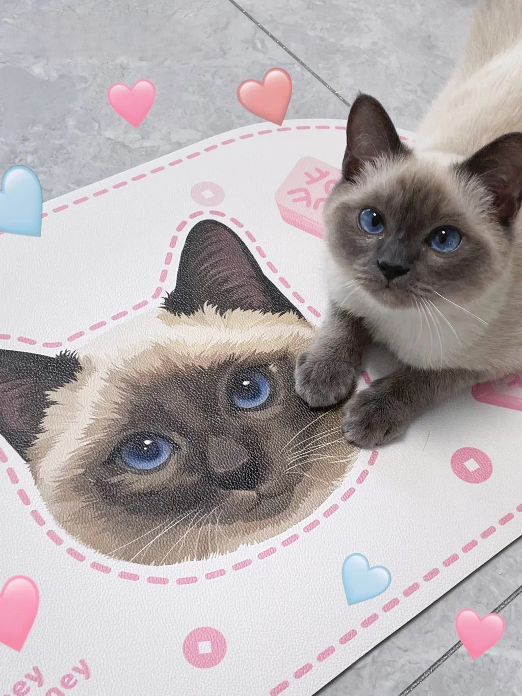 Custom Hand-Draw Pet Portrait Food Mat