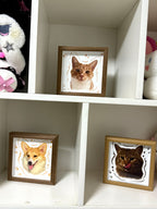 A Custom Hand-Drawn Pet Portrait Frame