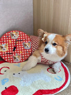 Custom Hand-Draw Pet Portrait Clock