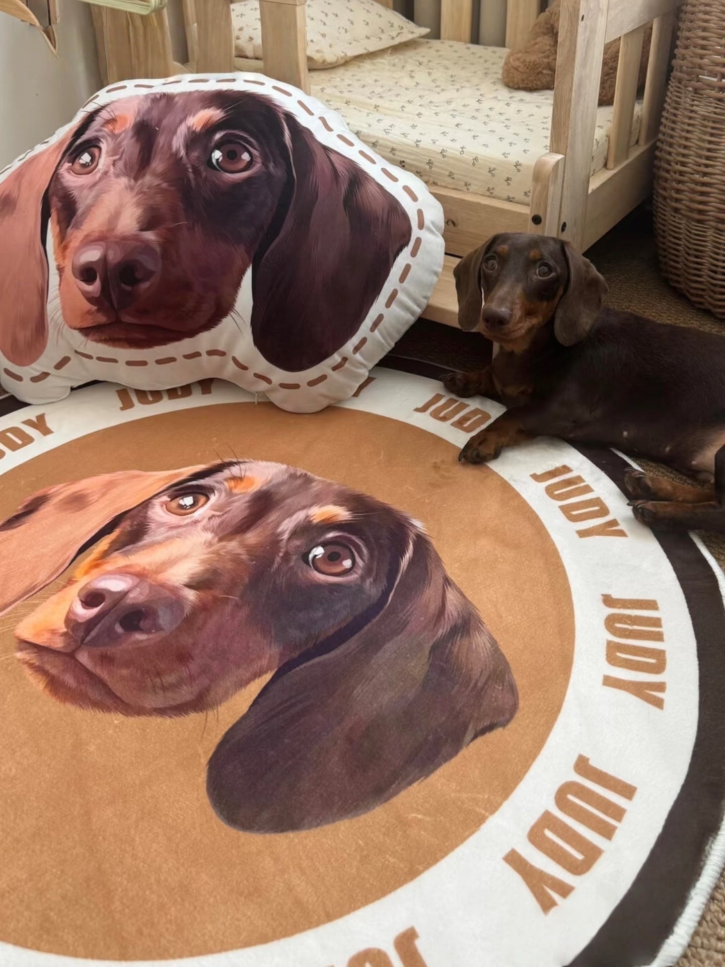 Custom Hand-draw Pet Portrait Carpet