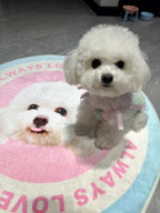 Custom Hand-draw Pet Portrait Carpet