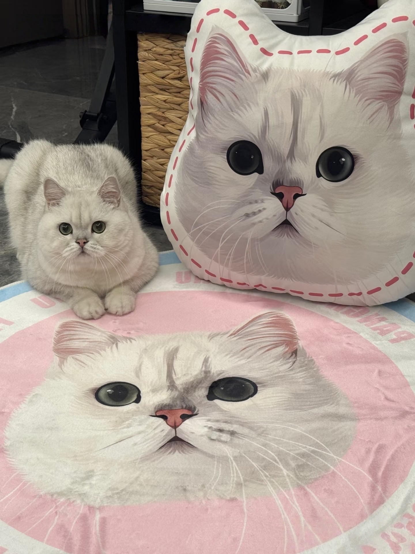 Custom Hand-draw Pet Portrait Carpet