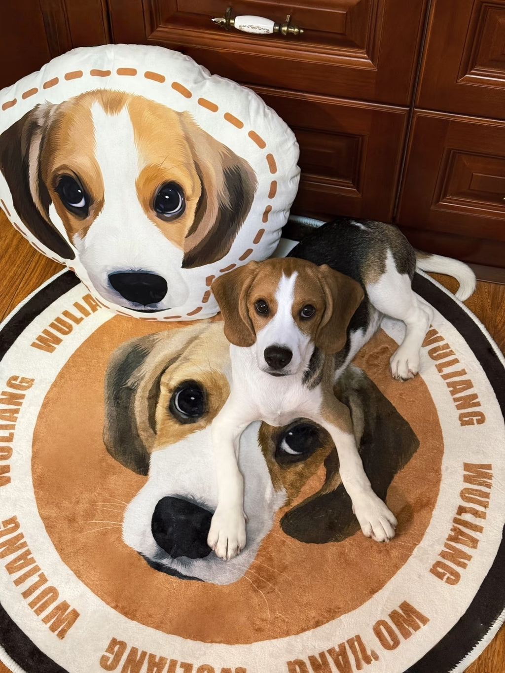 Custom Hand-draw Pet Portrait Carpet