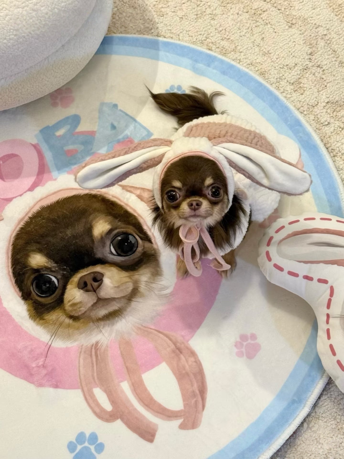 Custom Hand-draw Pet Portrait Carpet