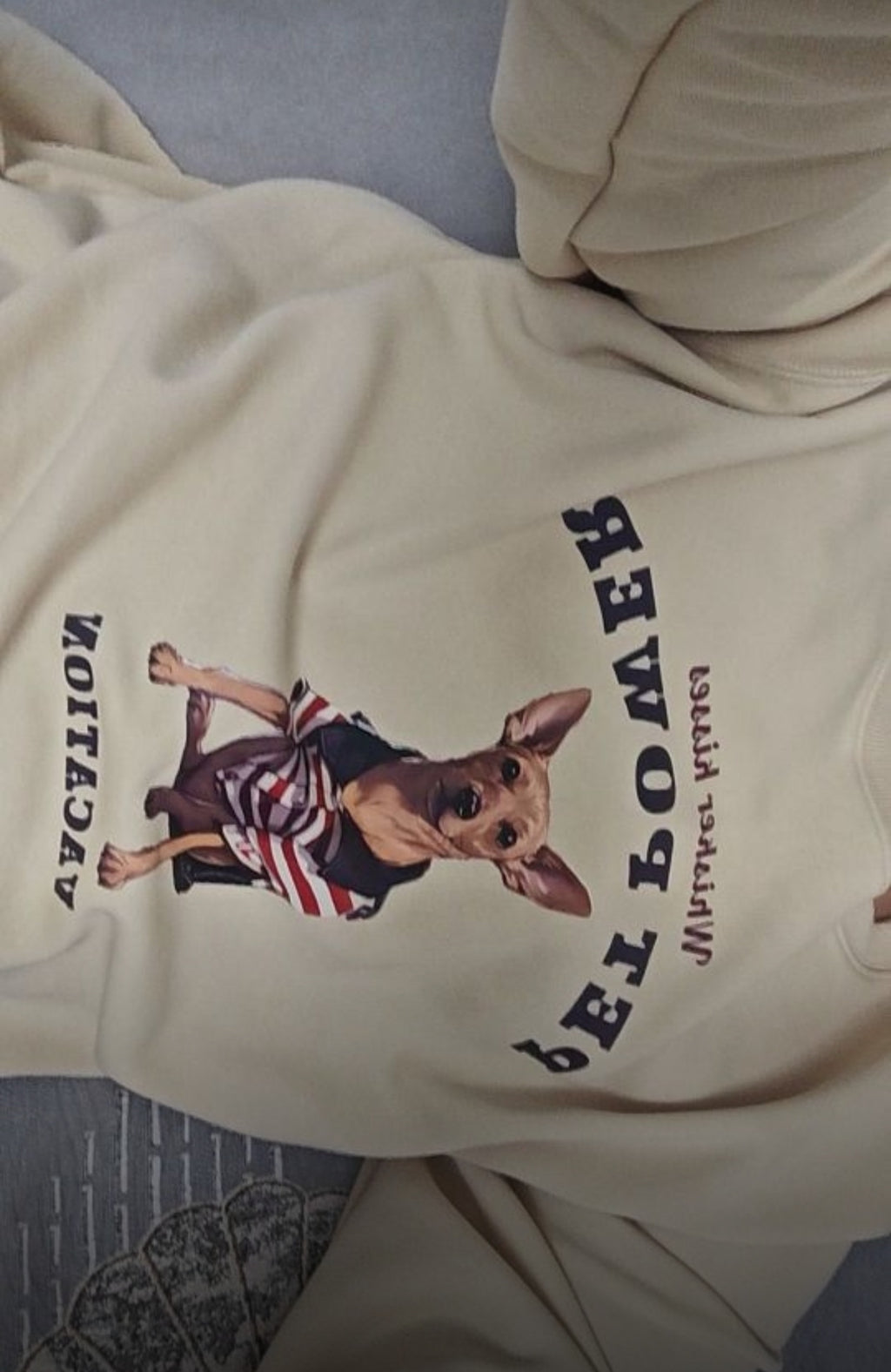 Personalized Pet Sweatshirt with Hand-Painted Portrait, Gifts For Pet Owners