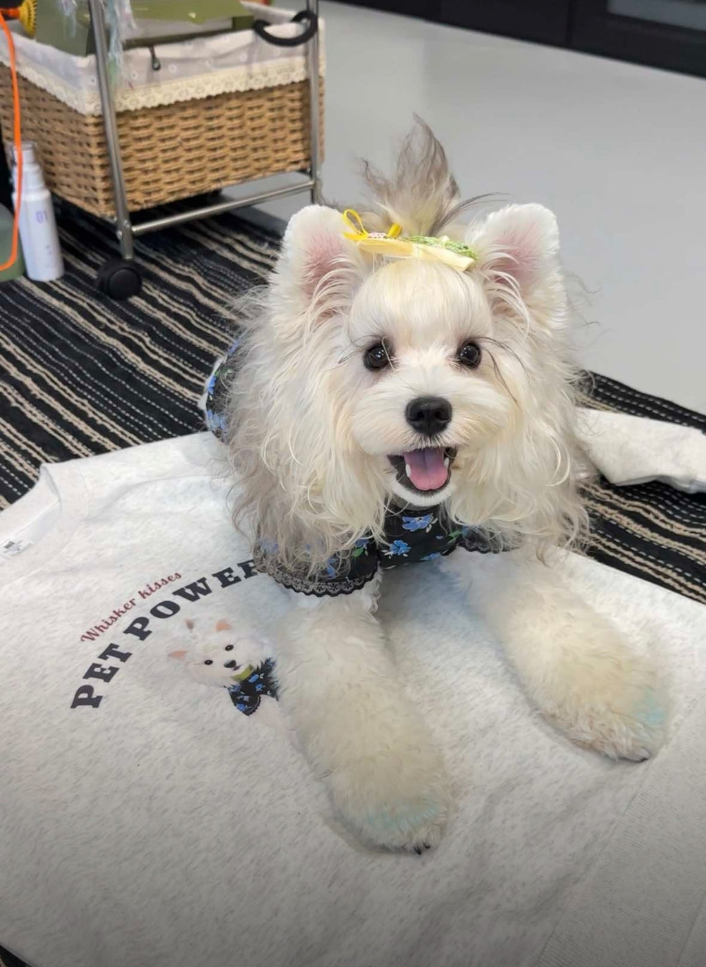 Personalized Pet Sweatshirt with Hand-Painted Portrait, Gifts For Pet Owners