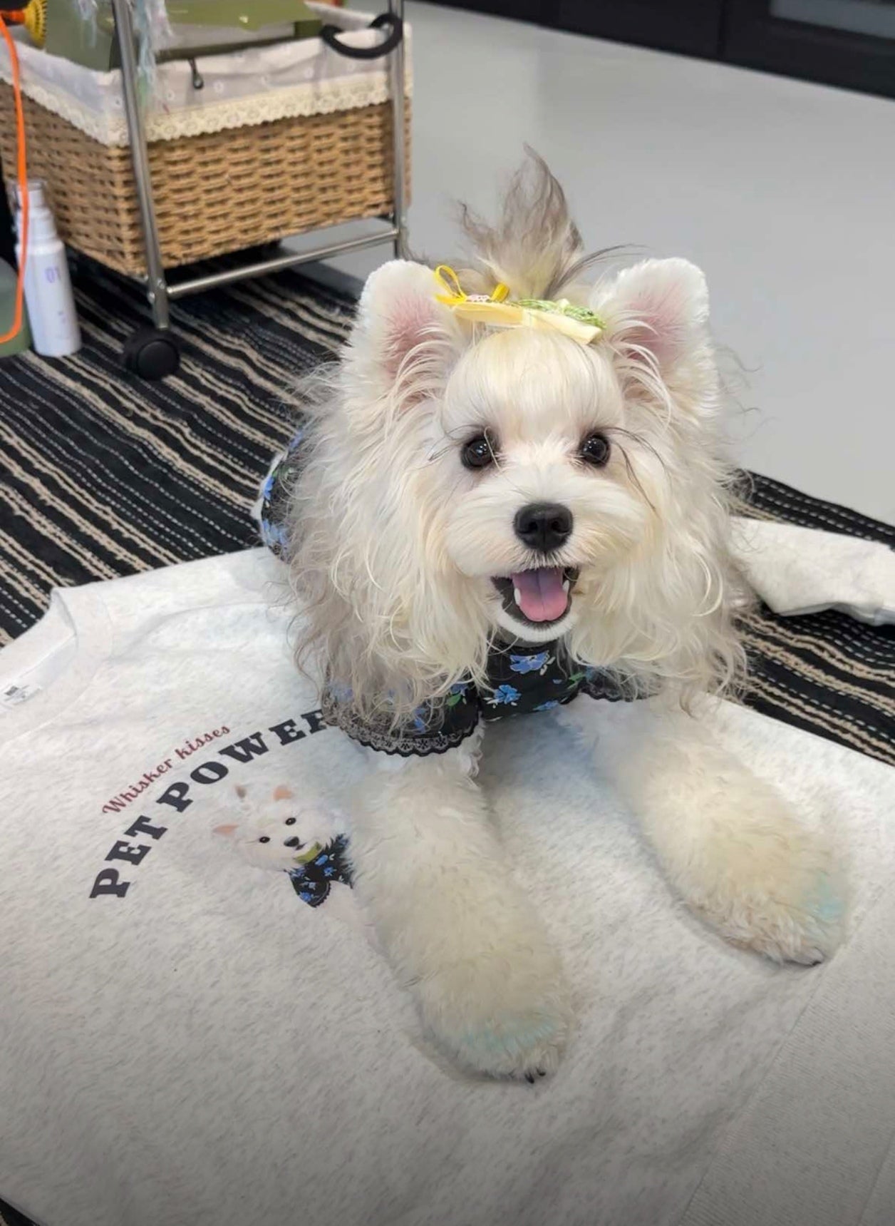 Personalized Pet Sweatshirt with Hand-Painted Portrait, Gifts For Pet Owners