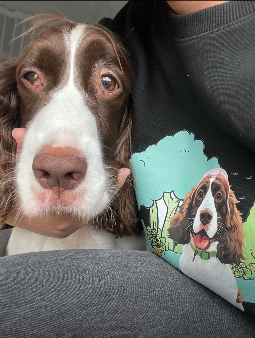 Personalized Pet Sweatshirt with Hand-Painted Portrait, Gifts For Pet Owners