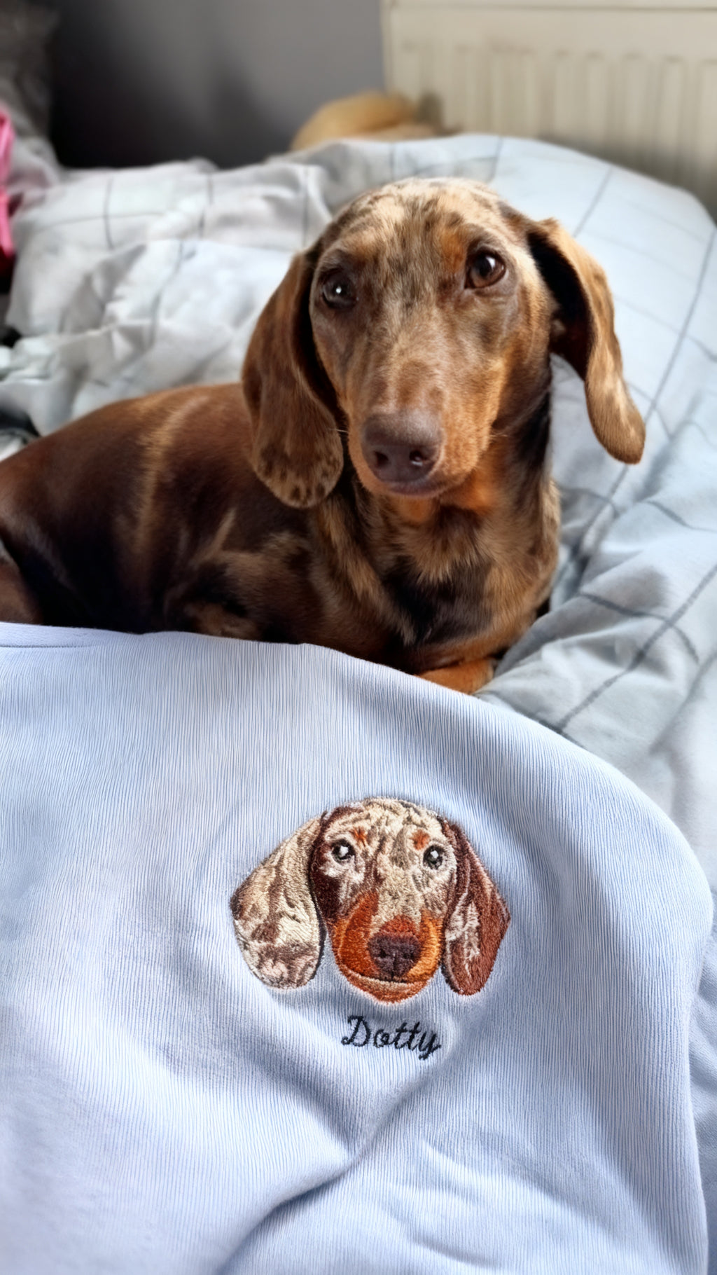 Personalized Embroidered Pet Sweatshirt with Portrait From Photo and Name, Gifts For Pet Owners