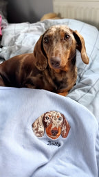 Personalized Embroidered Pet Sweatshirt with Portrait From Photo and Name, Gifts For Pet Owners