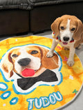 Custom Hand-draw Pet Portrait Carpet