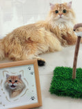 A Custom Hand-Drawn Pet Portrait Frame