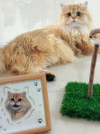 A Custom Hand-Drawn Pet Portrait Frame