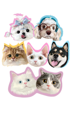 Custom Your Personalized Hand-drawn Pet Portrait