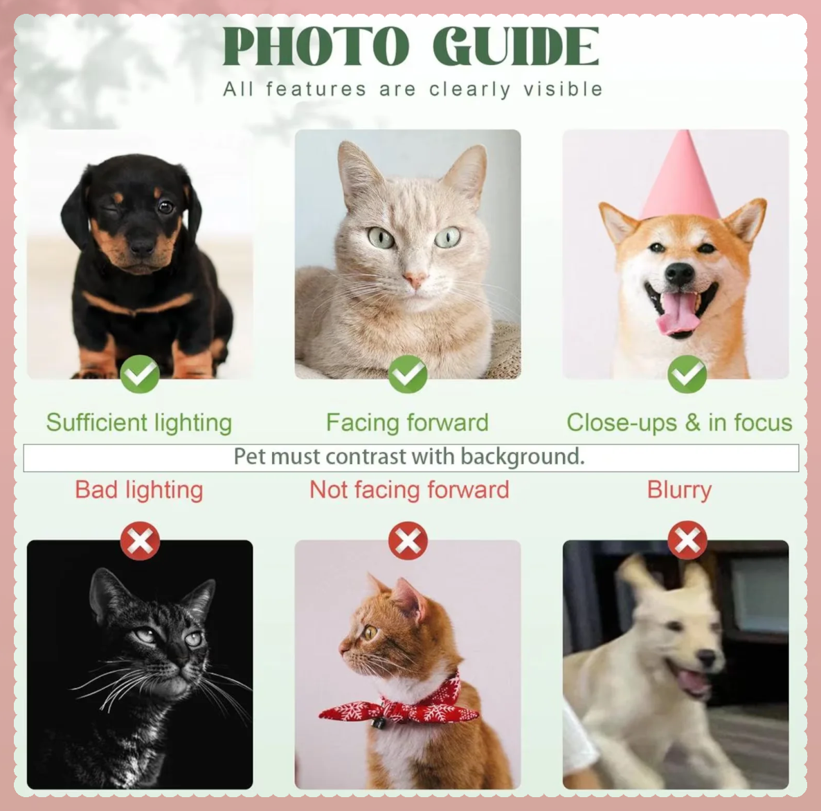 Custom Your Personalized Hand-drawn Pet Portrait